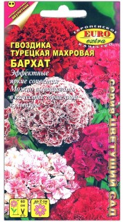 Гвоздика турецкая махровая Бархат
