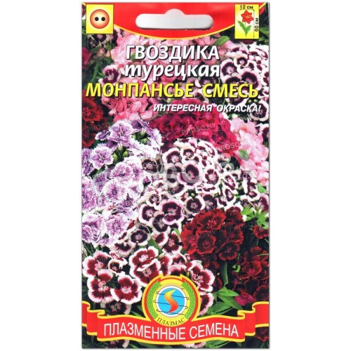 Гвоздика турецкая Монпансье, смесь