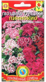 Гвоздика турецкая Пиннокио