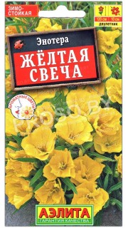 Энотера Желтая свеча