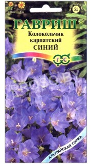 Колокольчик карпатский Синий