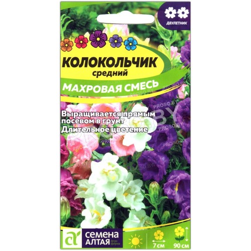 Колокольчик средний Махровая смесь-1