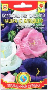 Колокольчик средний Чашка с блюдцем