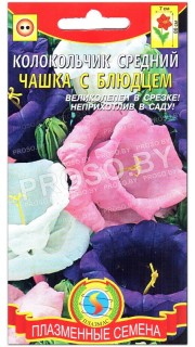 Колокольчик средний Чашка с блюдцем