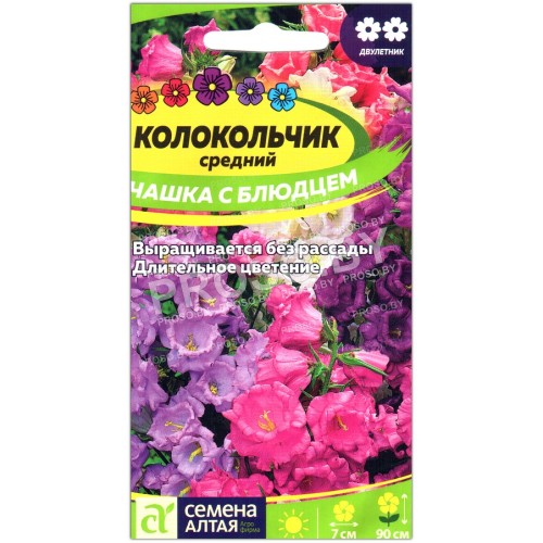 Колокольчик средний Чашка с блюдцем-1