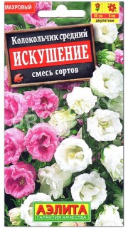 Колокольчик средний Искушение, смесь