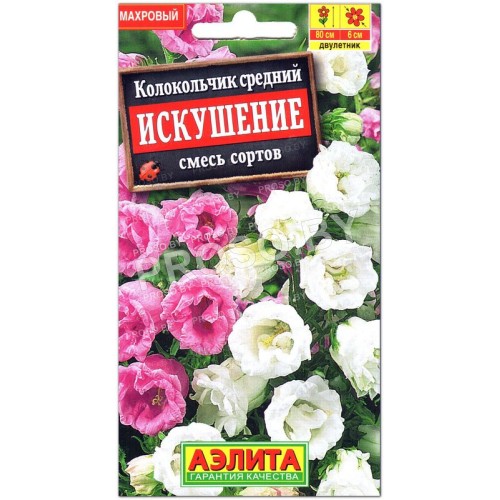 Колокольчик средний Искушение, смесь