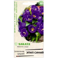 Колокольчик средний Эпил синий