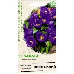 Колокольчик средний Эпил синий
