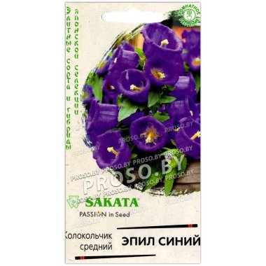 Колокольчик средний Эпил синий