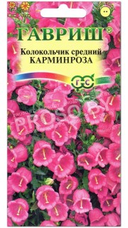 Колокольчик средний Карминроза