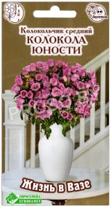 Колокольчик средний Колокола юности