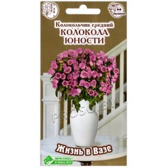 Колокольчик средний Колокола юности