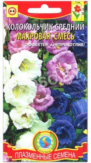 Колокольчик средний Махровая смесь