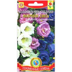 Колокольчик средний Махровая смесь