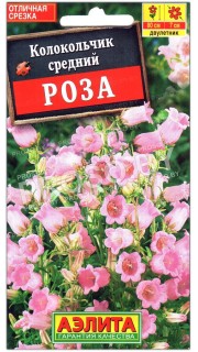 Колокольчик средний Роза