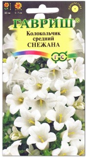 Колокольчик средний Снежана