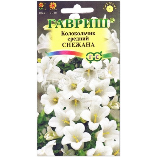 Колокольчик средний Снежана