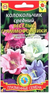 Колокольчик средний Веселые граммофончики