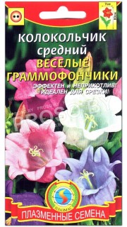 Колокольчик средний Веселые граммофончики
