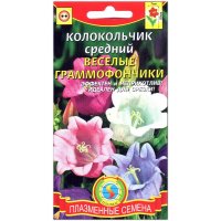 Колокольчик средний Веселые граммофончики