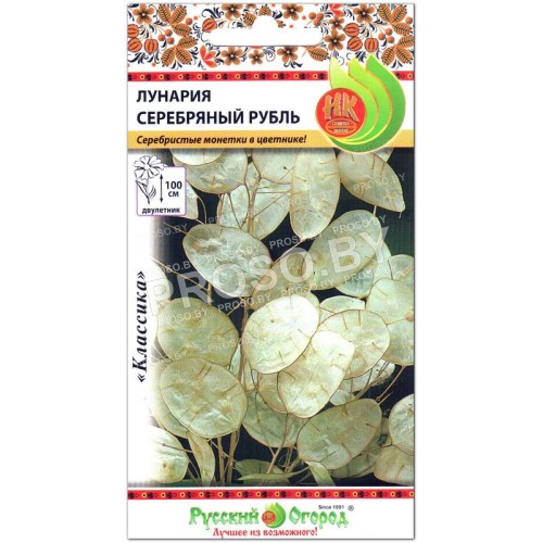 Лунария Серебряный рубль