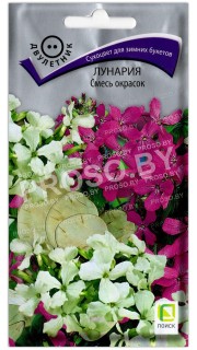Лунария Смесь окрасок