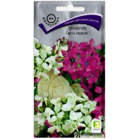 Лунария Смесь окрасок