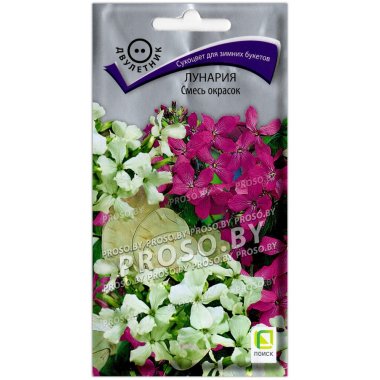 Лунария Смесь окрасок