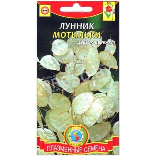 Лунник Мотыльки