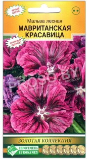 Мальва лесная Мавританская красавица