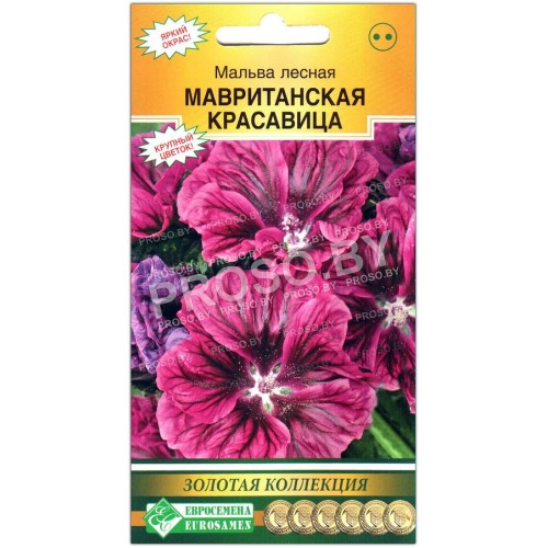 Мальва лесная Мавританская красавица