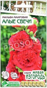 Мальва махровая Алые свечи