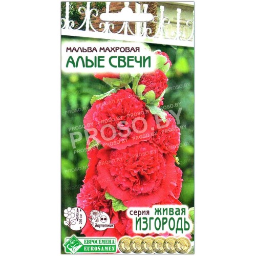 Мальва махровая Алые свечи