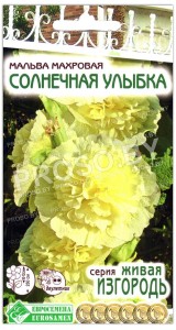 Мальва махровая Солнечная улыбка