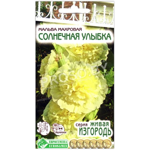 Мальва махровая Солнечная улыбка