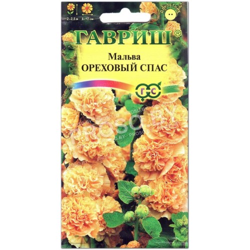 Мальва Ореховый спас