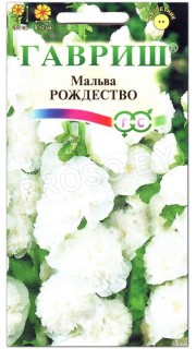 Мальва Рождество