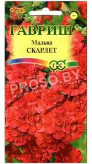 Мальва Скарлет