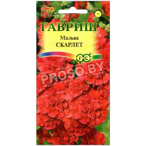 Мальва Скарлет
