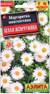 Маргаритка Белая жемчужина