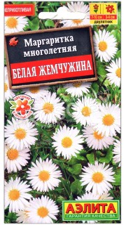 Маргаритка Белая жемчужина