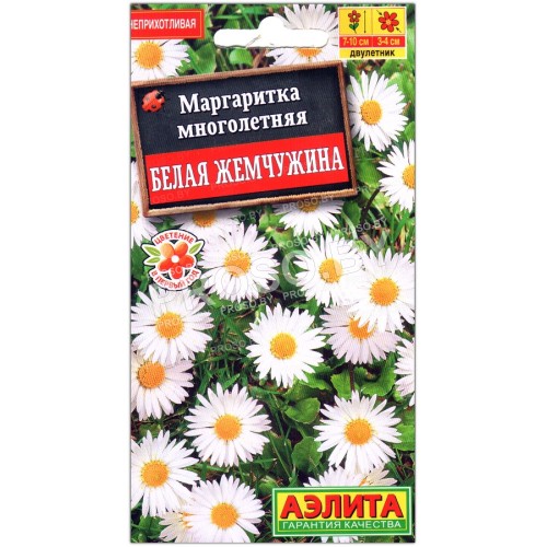 Маргаритка Белая жемчужина