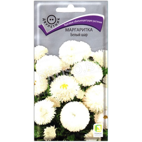 Маргаритка Белый шар-2