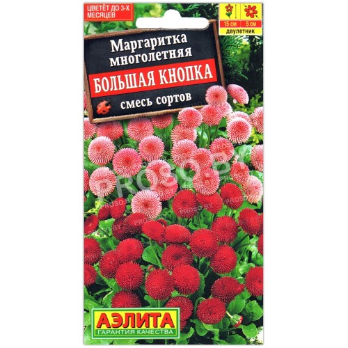 Маргаритка Большая кнопка, смесь