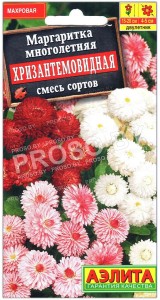 Маргаритка Хризантемовидная, смесь