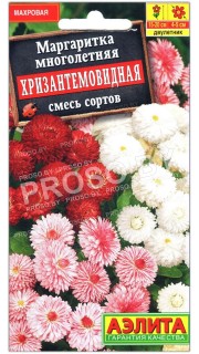 Маргаритка Хризантемовидная, смесь