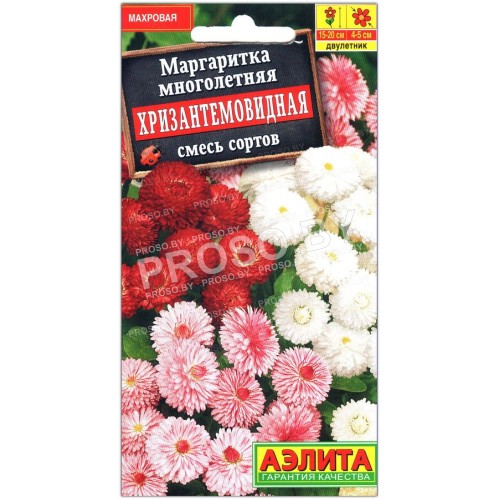 Маргаритка Хризантемовидная, смесь
