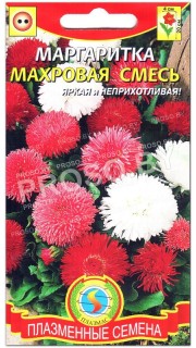 Маргаритка Махровая смесь