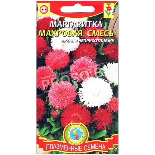 Маргаритка Махровая смесь